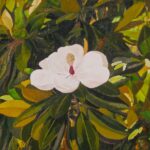 Young Blossom