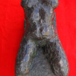 female torso
